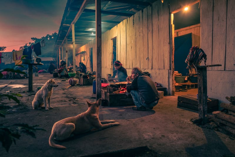 Open Call 2026 - Winners
